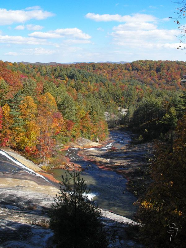 Thinking of Travelers Rest. Pls tell me all about it. (Greenville job market, YMCA