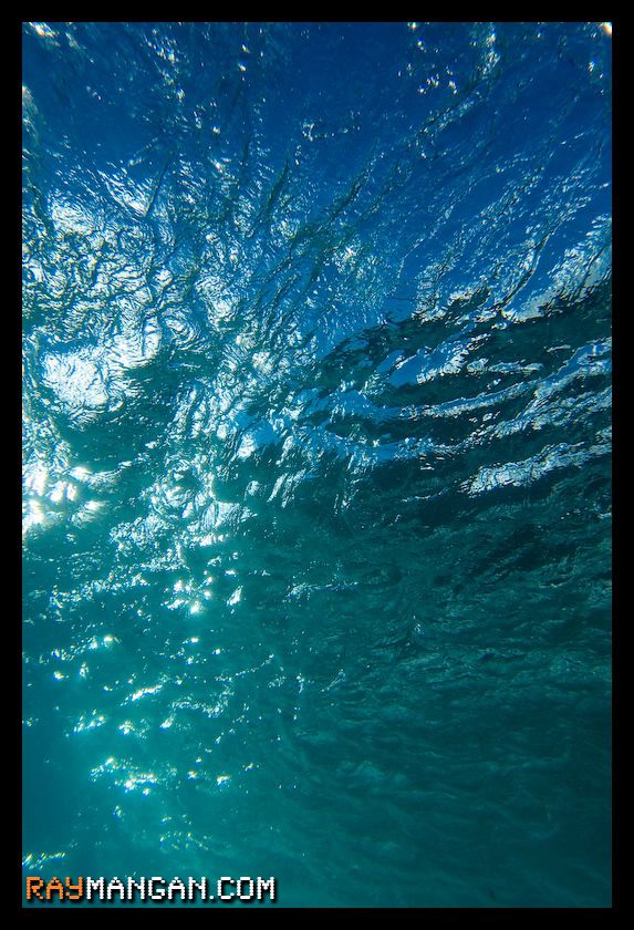 IMAGE: http://i3.photobucket.com/albums/y100/Zebceponaf/Oahu/IMG_6068.jpg