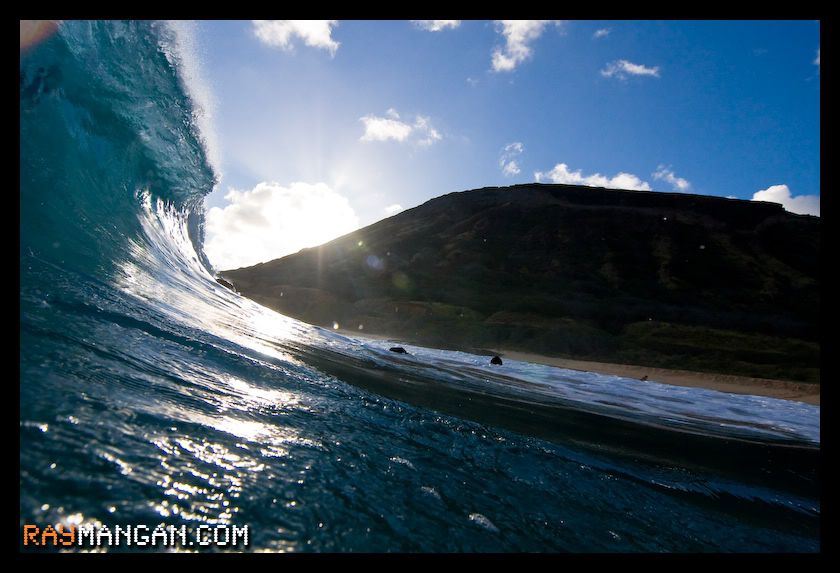 IMAGE: http://i3.photobucket.com/albums/y100/Zebceponaf/Oahu/IMG_6150.jpg