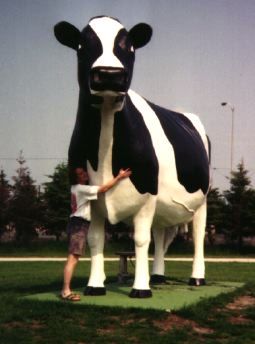 sampi
