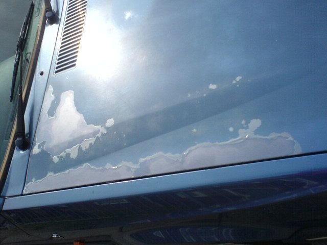 DSC00005.jpg