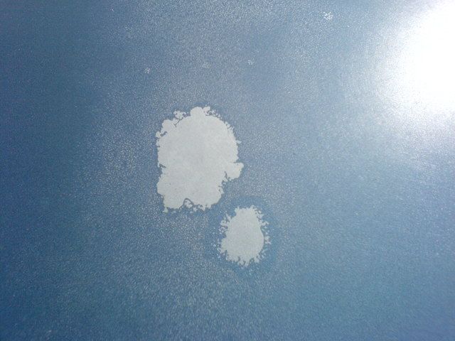 DSC00007.jpg
