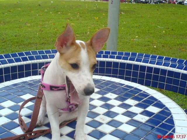 Image hosting by Photobucket