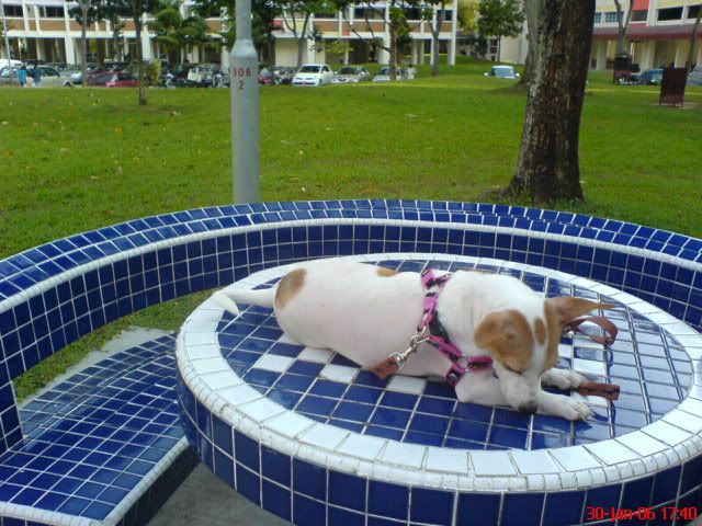 Image hosting by Photobucket