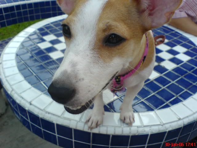 Image hosting by Photobucket