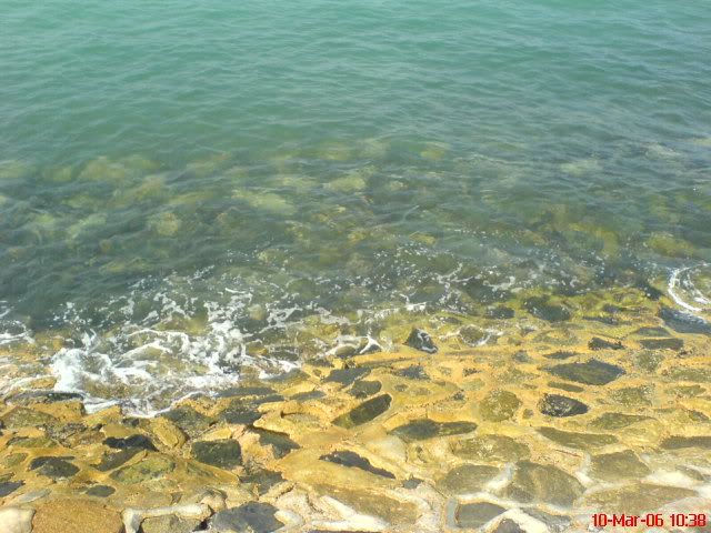 Image hosting by Photobucket