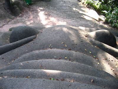 Image hosted by Photobucket.com