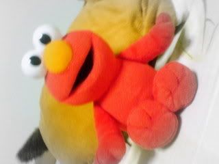 Photobucket - Video and Image Hosting