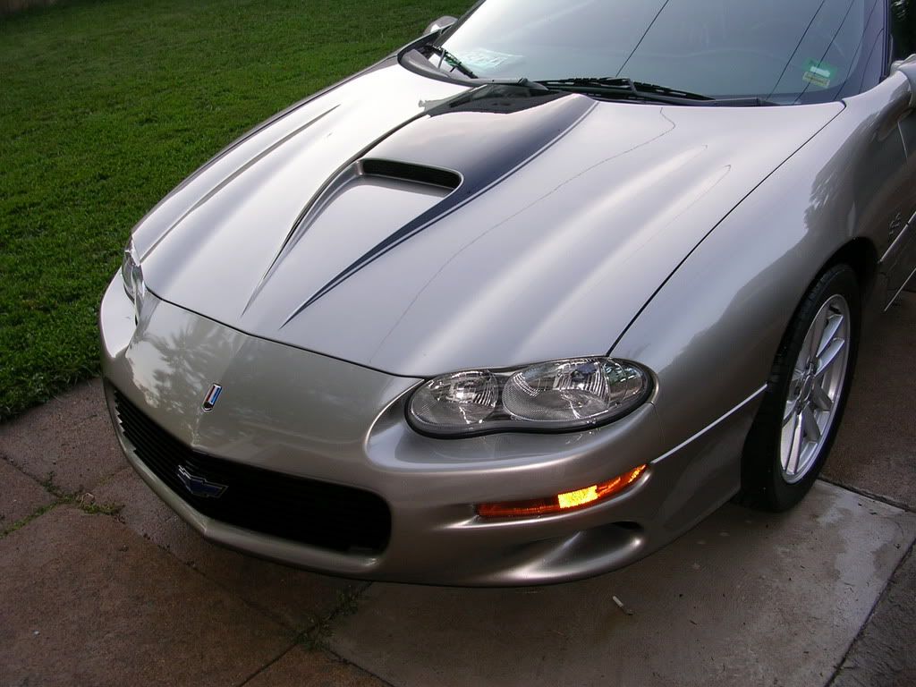 DSCN0331.jpg
