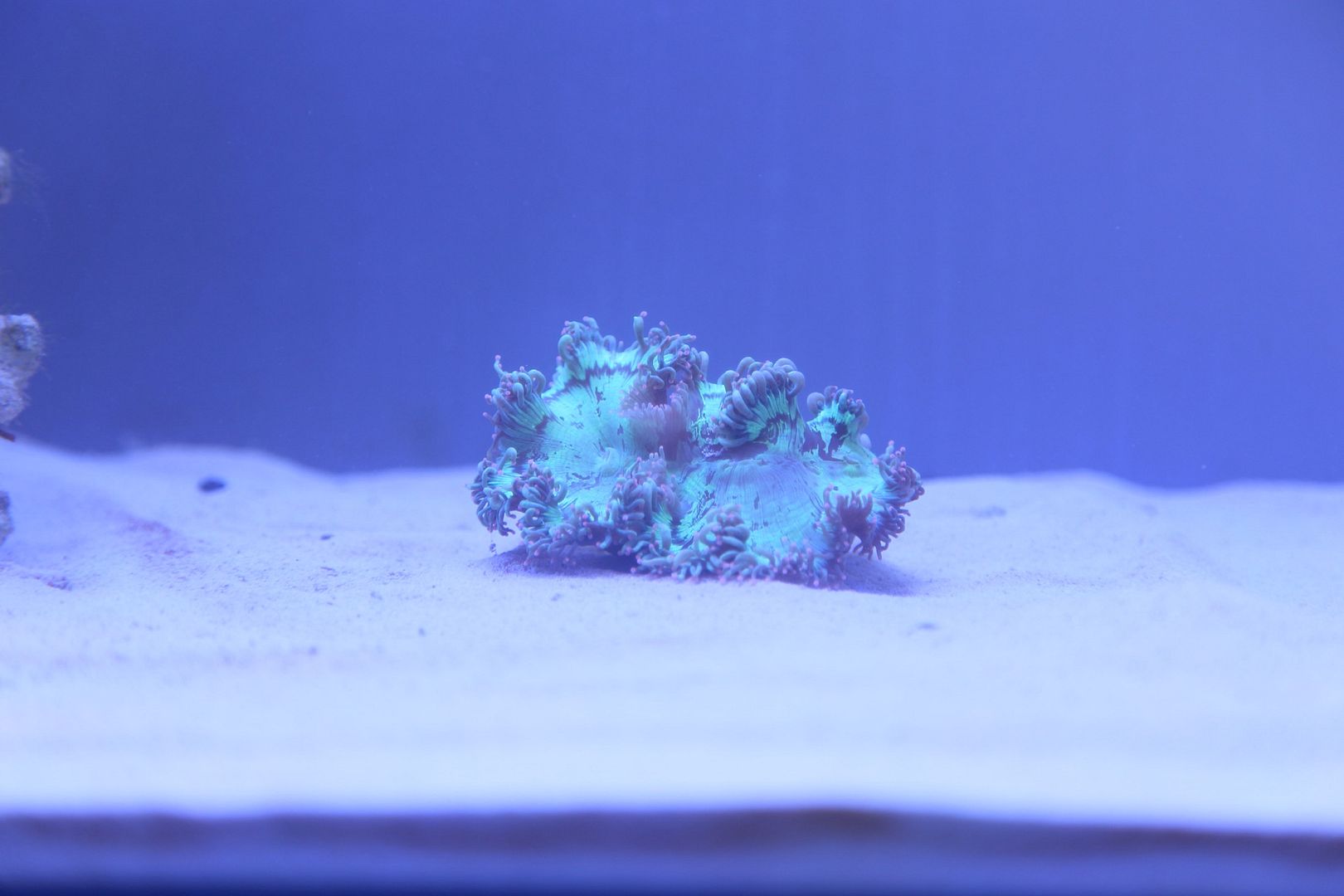 F8628143-ED20-4D6E-840E-D94720B40472_zps