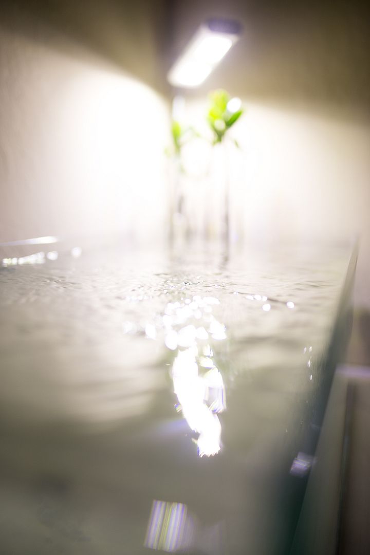 water%20blur_zps5pdoirpf.jpg