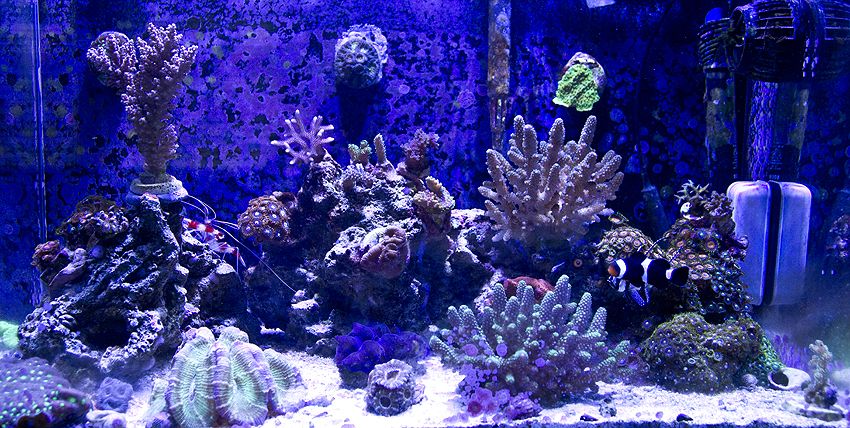 fts0910.jpg