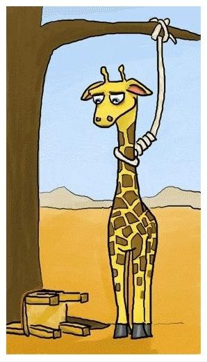 DGiraffe.jpg