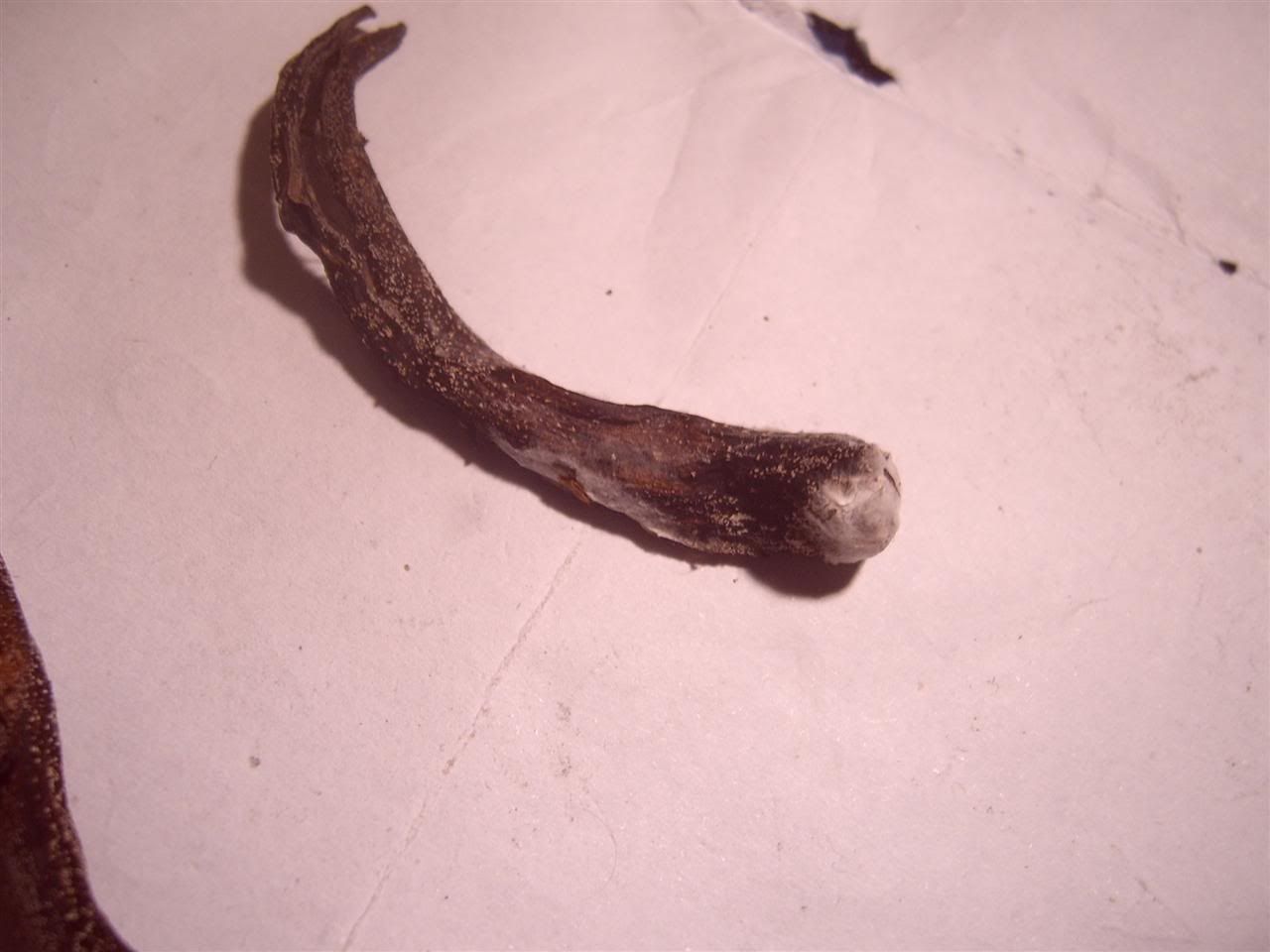 Billede
