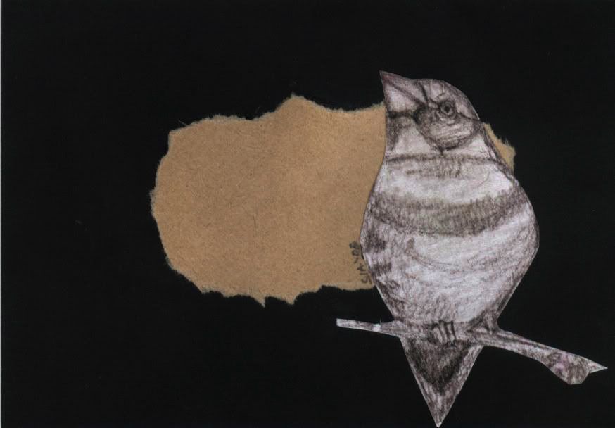 Bird Series Postcard by Sia