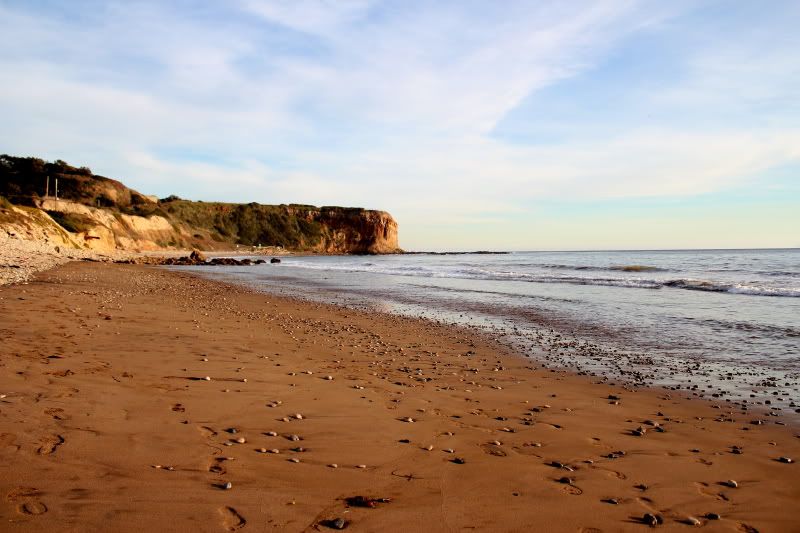 IMAGE: http://i3.photobucket.com/albums/y52/sk8gitar23/Abalone%20Cove/051-PB.jpg