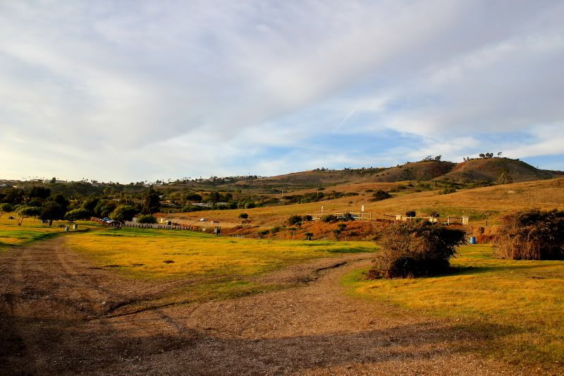 IMAGE: http://i3.photobucket.com/albums/y52/sk8gitar23/Abalone%20Cove/091-PB.jpg