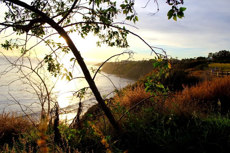 IMAGE: http://i3.photobucket.com/albums/y52/sk8gitar23/Abalone%20Cove/102-PB.jpg