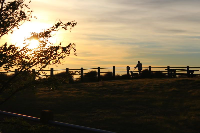 IMAGE: http://i3.photobucket.com/albums/y52/sk8gitar23/Abalone%20Cove/124-PB.jpg