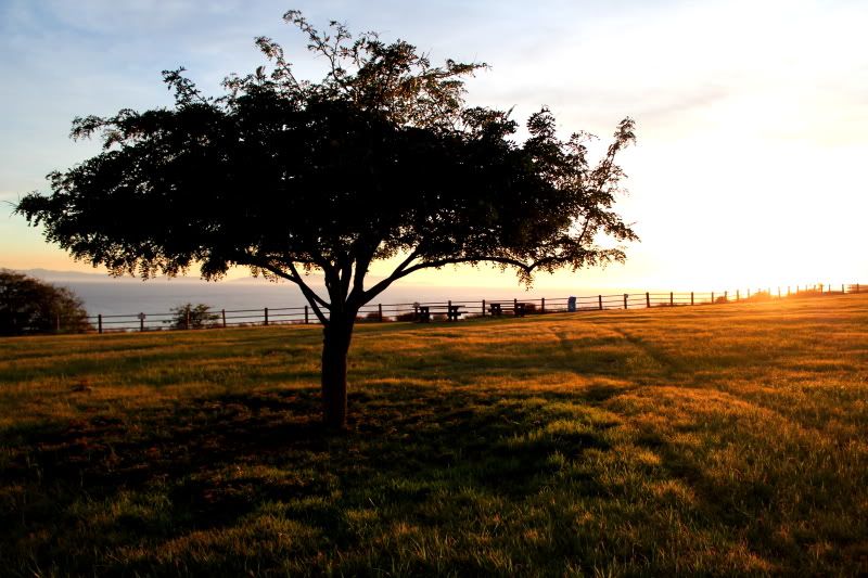 IMAGE: http://i3.photobucket.com/albums/y52/sk8gitar23/Abalone%20Cove/171-PB.jpg