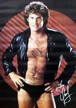 david-hasselhoff.jpg