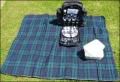 picnic.jpg