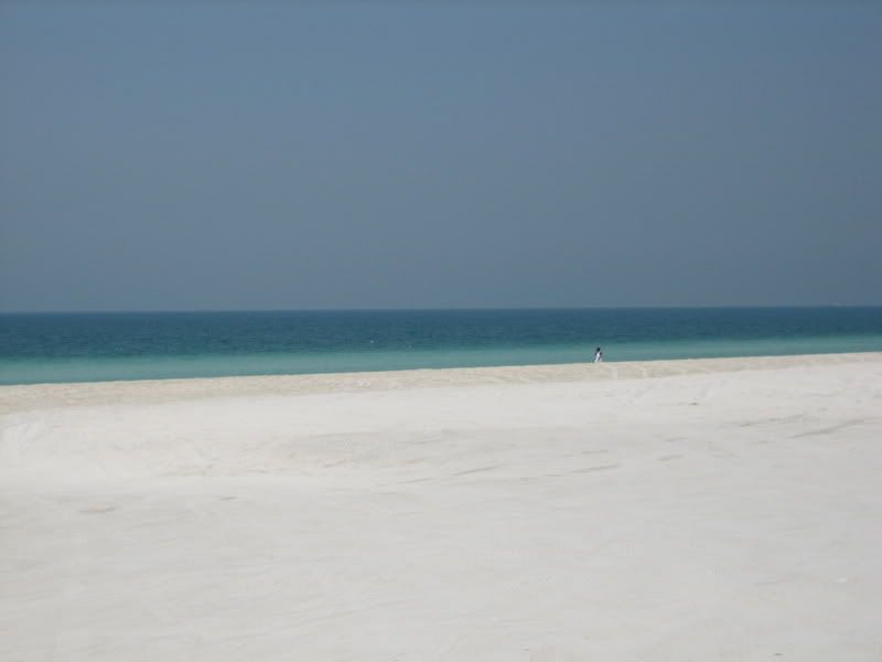 IMG_2536.jpg