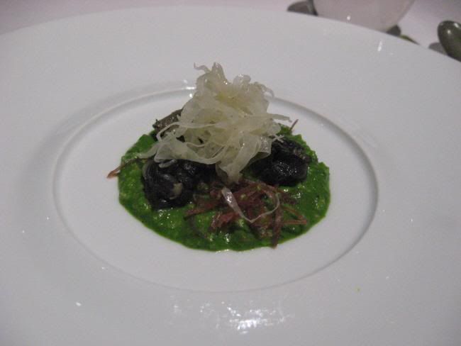 36 Snail Porridge, Jabugo Ham, Shaved Fennel.jpg