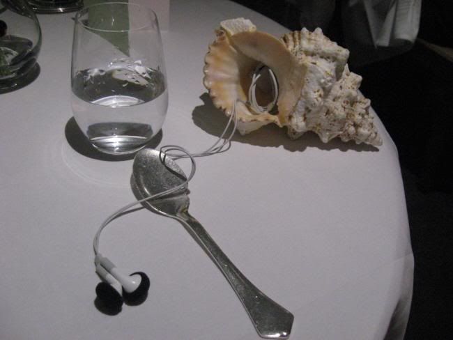 48 Conch shell and iPod.jpg