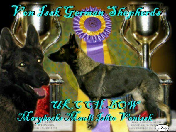 Vonissk German Shepherd Dogs - Homestead Business Directory