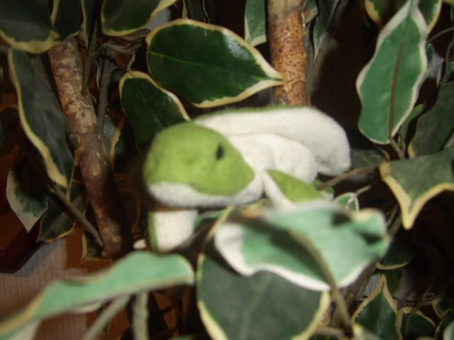 user posted image