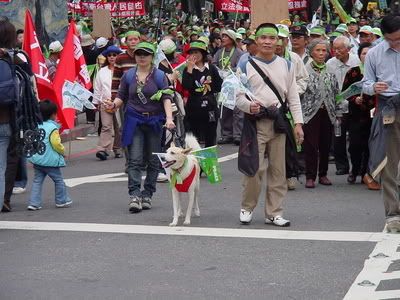 Dog celebrates Taiwan