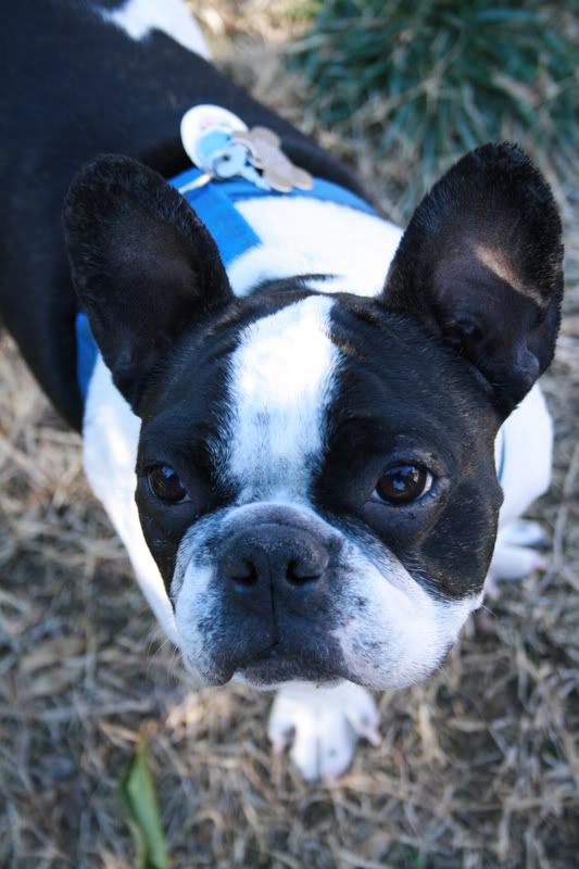 IMAGE: http://i3.photobucket.com/albums/y54/godrocksyo/IMG_0107.jpg