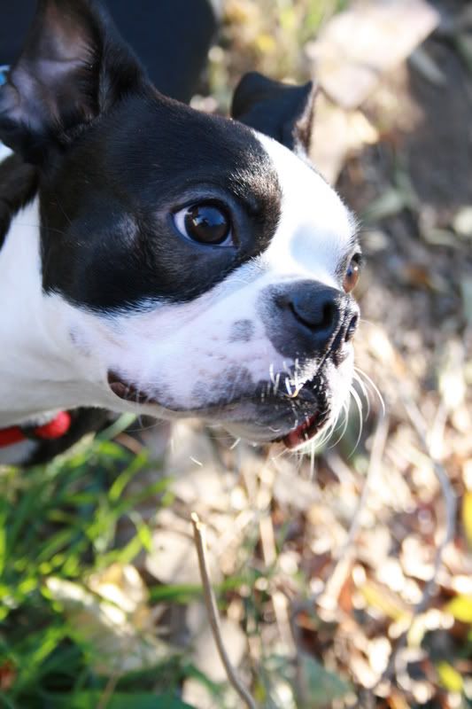 IMAGE: http://i3.photobucket.com/albums/y54/godrocksyo/IMG_0139.jpg