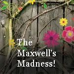 The Maxwell’s Madness