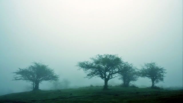fog-640.jpg