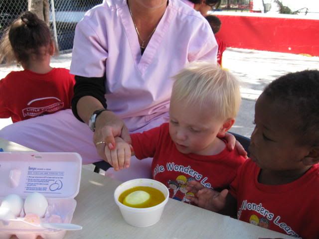 Dyeing my egg yellow