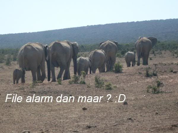 filealarm.jpg