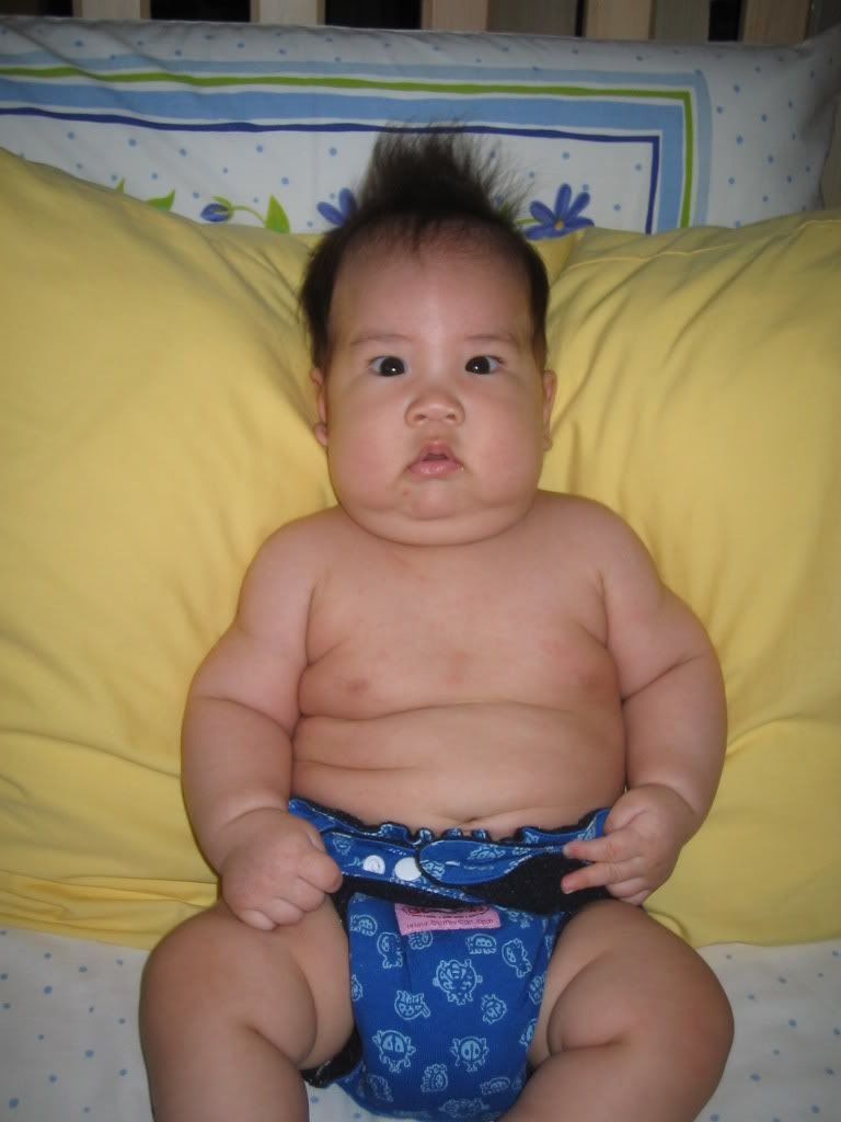 Image hosted by Photobucket.com