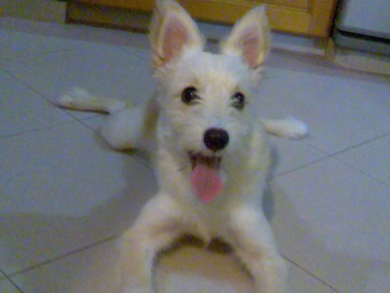 Photobucket - Video and Image Hosting Image022.jpg