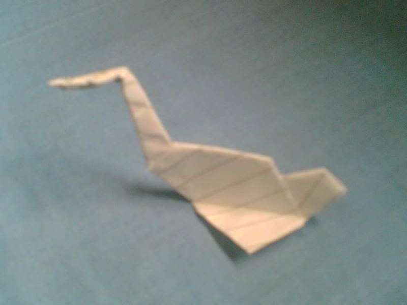 Photobucket - Video and Image Hosting Image1102.jpg