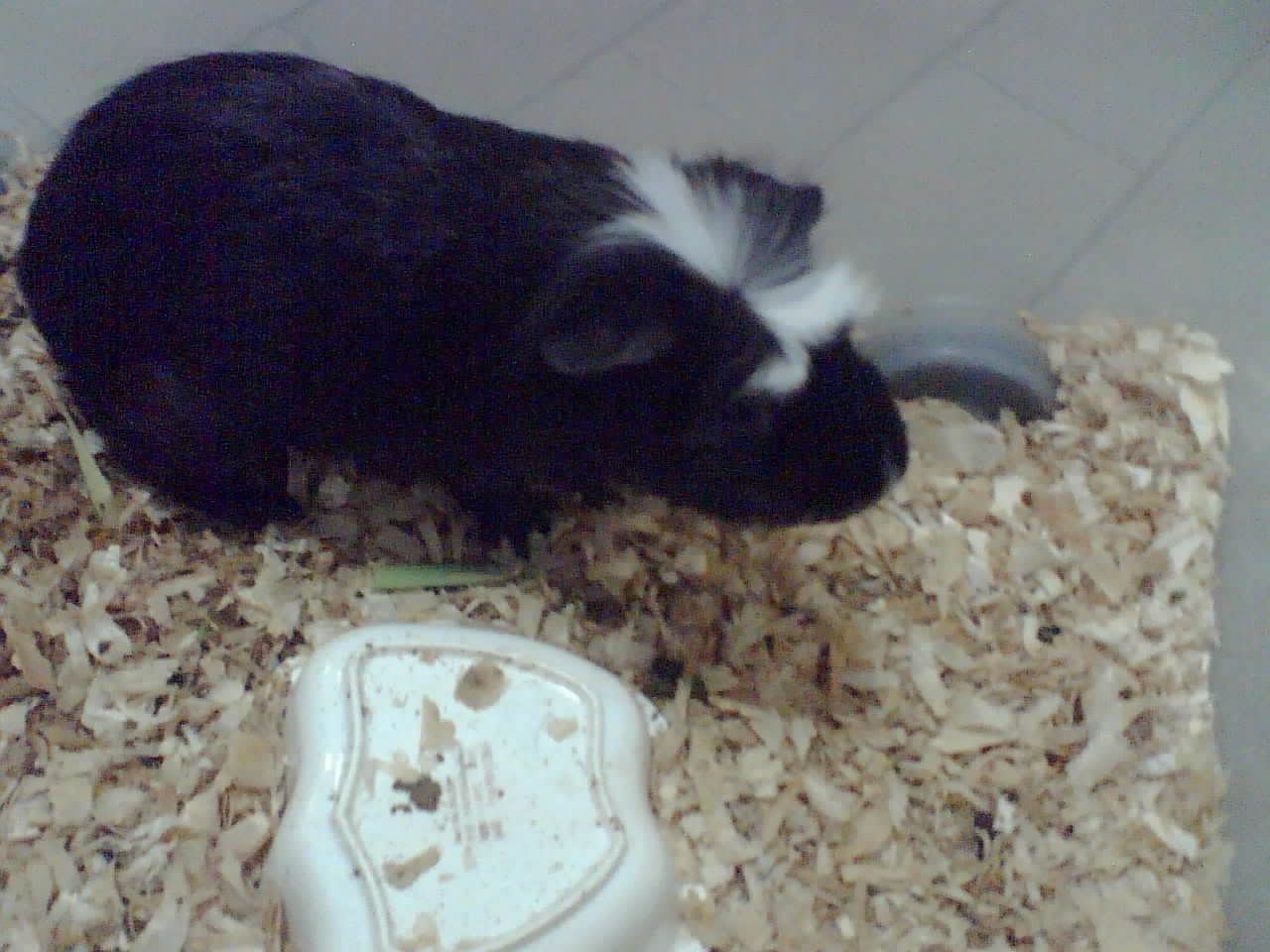 Photobucket - Video and Image Hosting