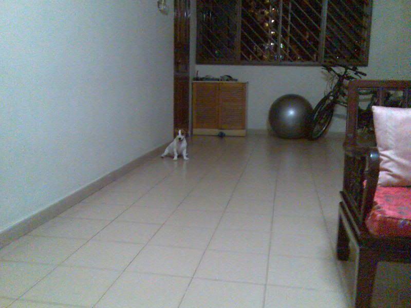 Photobucket - Video and Image Hosting Image370.jpg