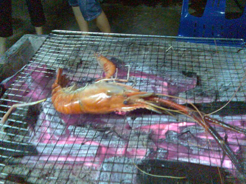 Photobucket - Video and Image Hosting Image376.jpg