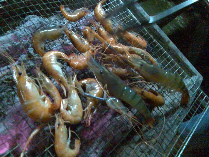 Photobucket - Video and Image Hosting Image379.jpg