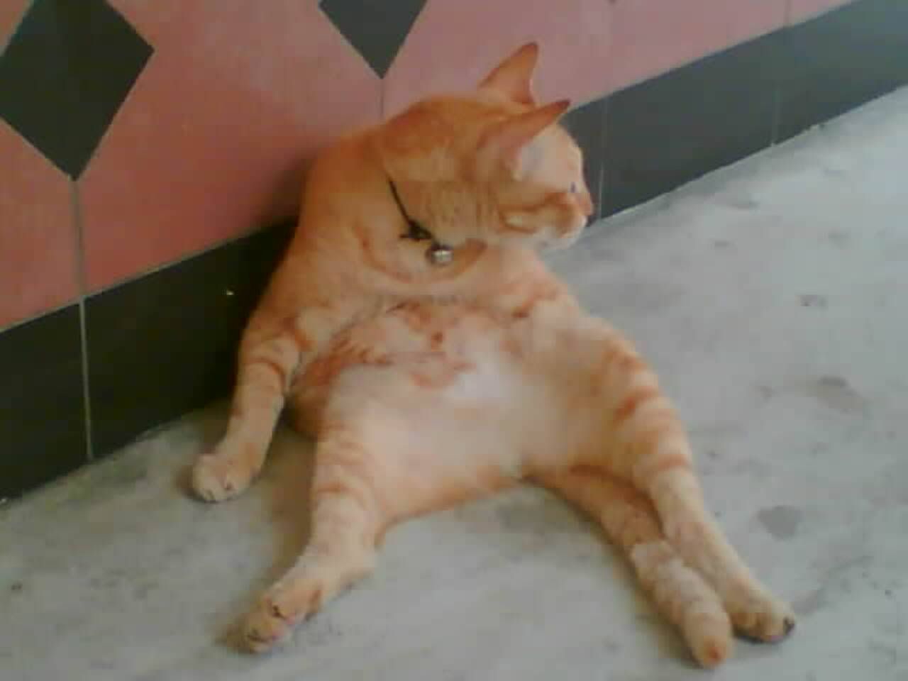 Photobucket - Video and Image Hosting