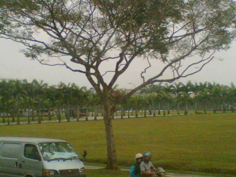 Photobucket - Video and Image Hosting