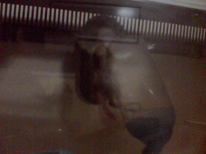 Photobucket - Video and Image Hosting Image934.jpg