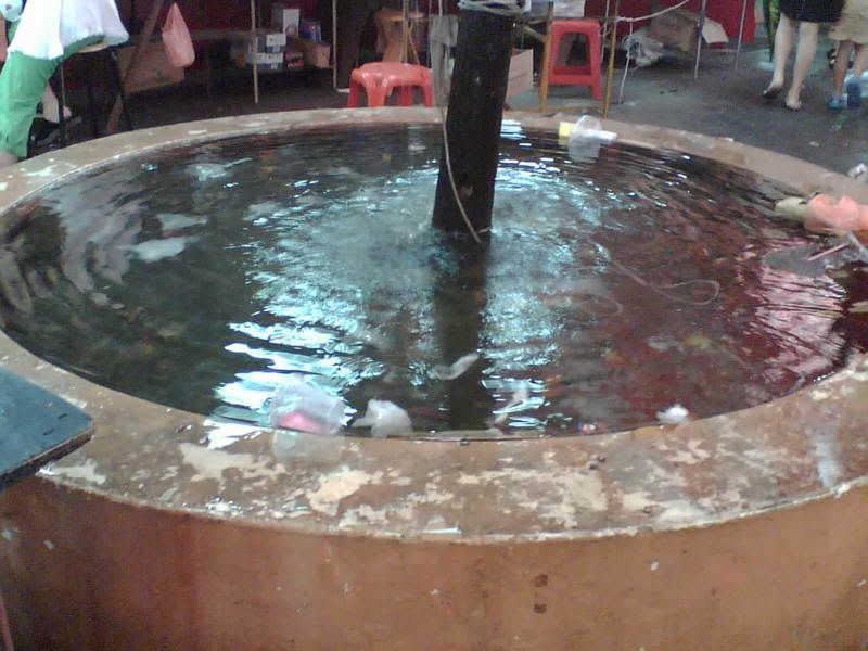 Photobucket - Video and Image Hosting Image951.jpg