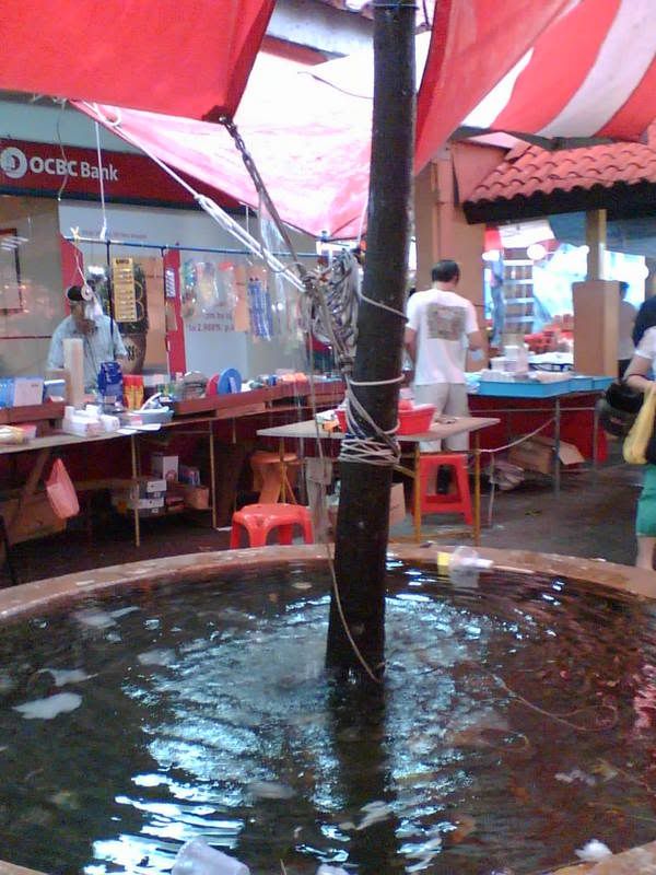 Photobucket - Video and Image Hosting Image952.jpg